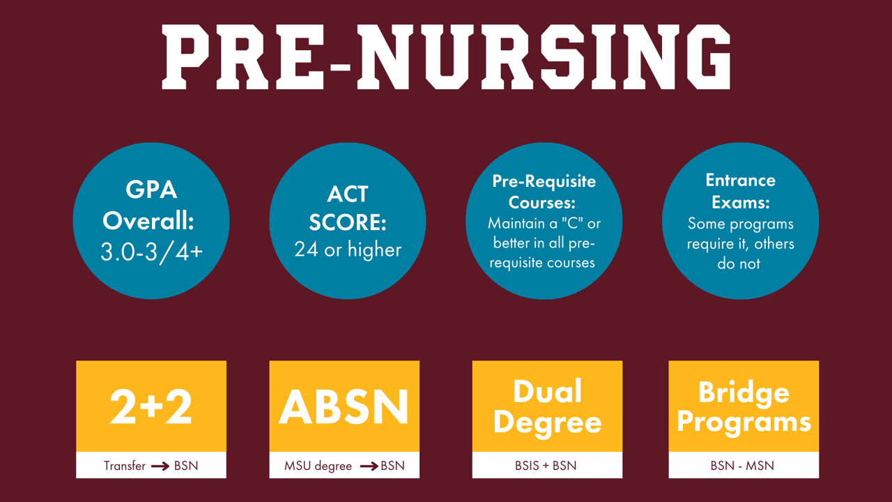 Graphic of Nursing School Options 